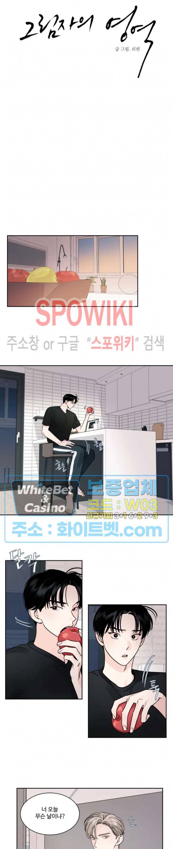 그림자의 영역 10화 4