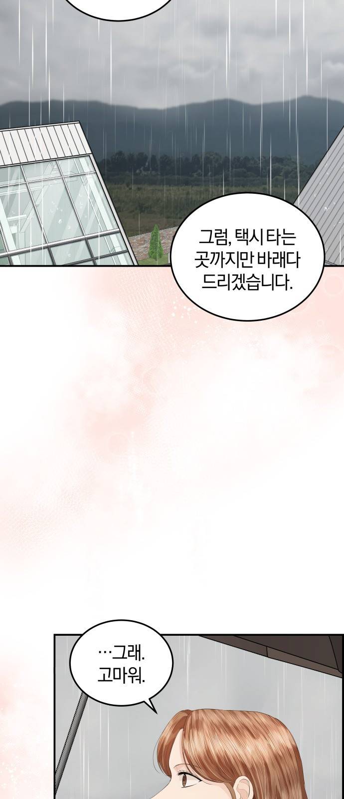 완벽한 결혼의 정석 60화 28