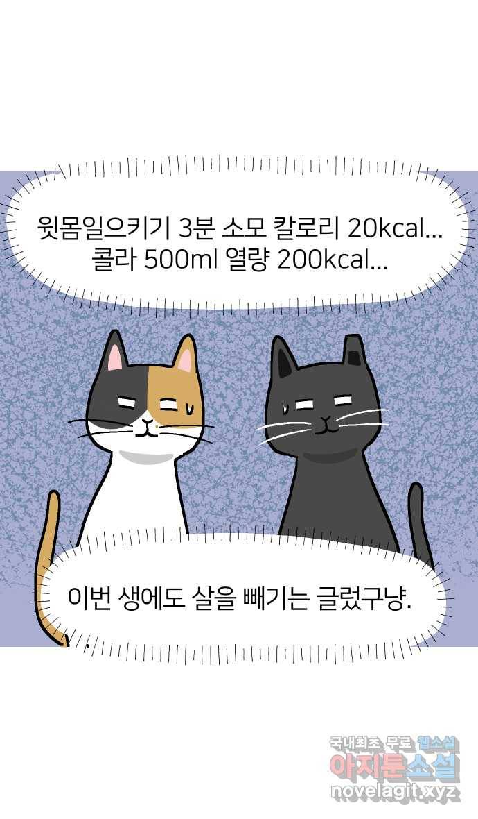 애옹식당 37화 김 빠진 콜라 그리고 4