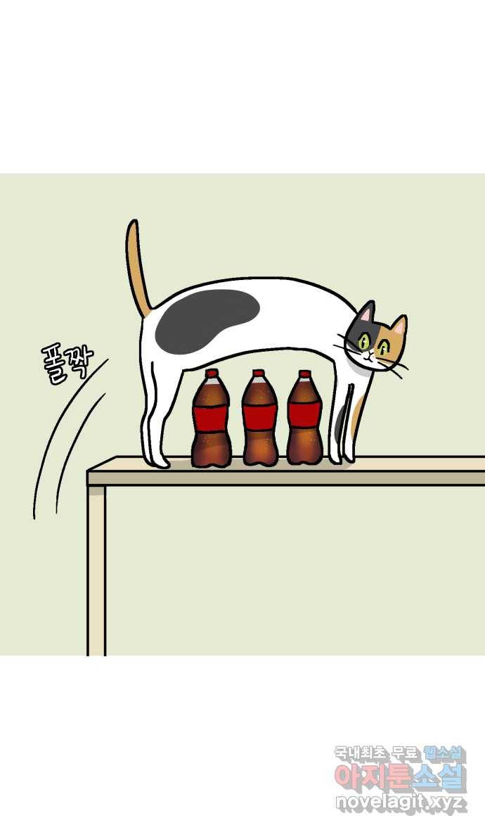 애옹식당 37화 김 빠진 콜라 그리고 8