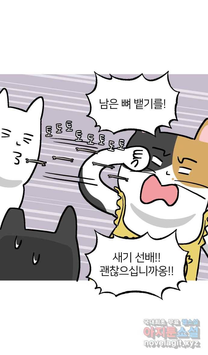 애옹식당 37화 김 빠진 콜라 그리고 31
