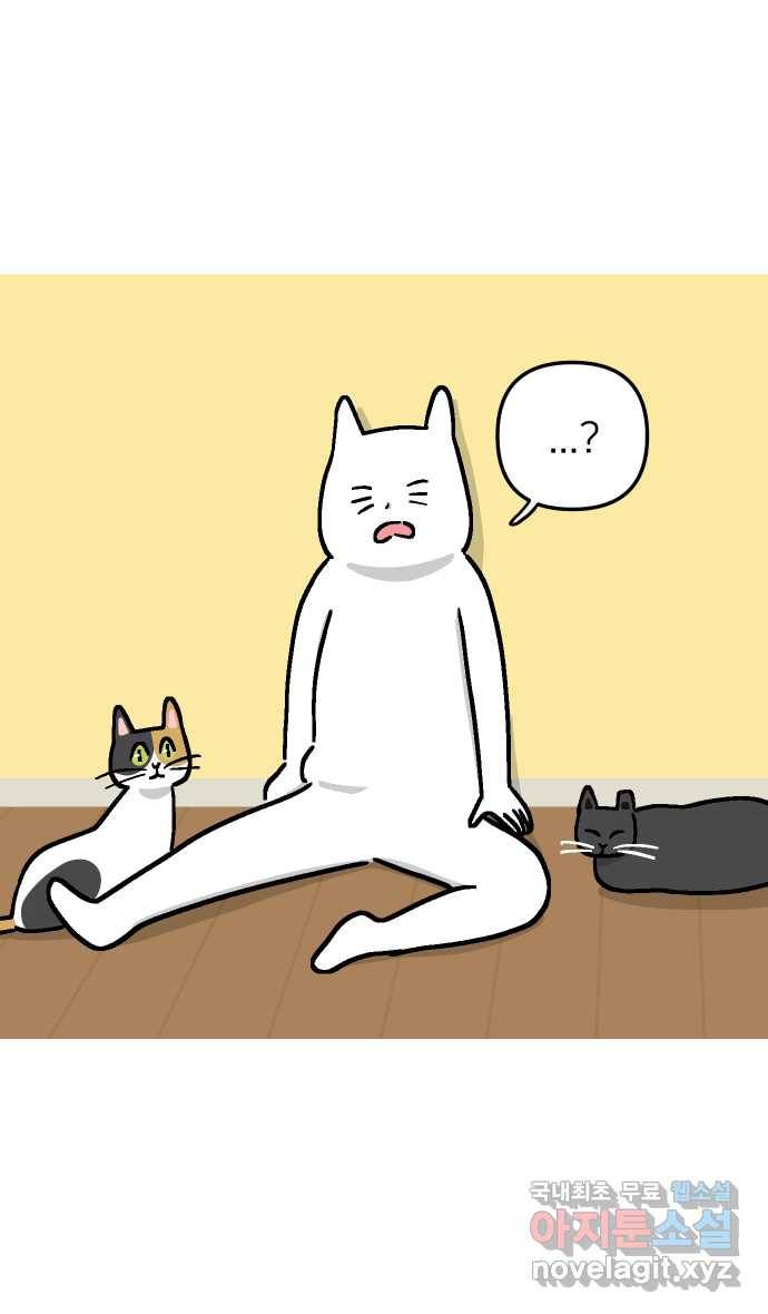 애옹식당 37화 김 빠진 콜라 그리고 35