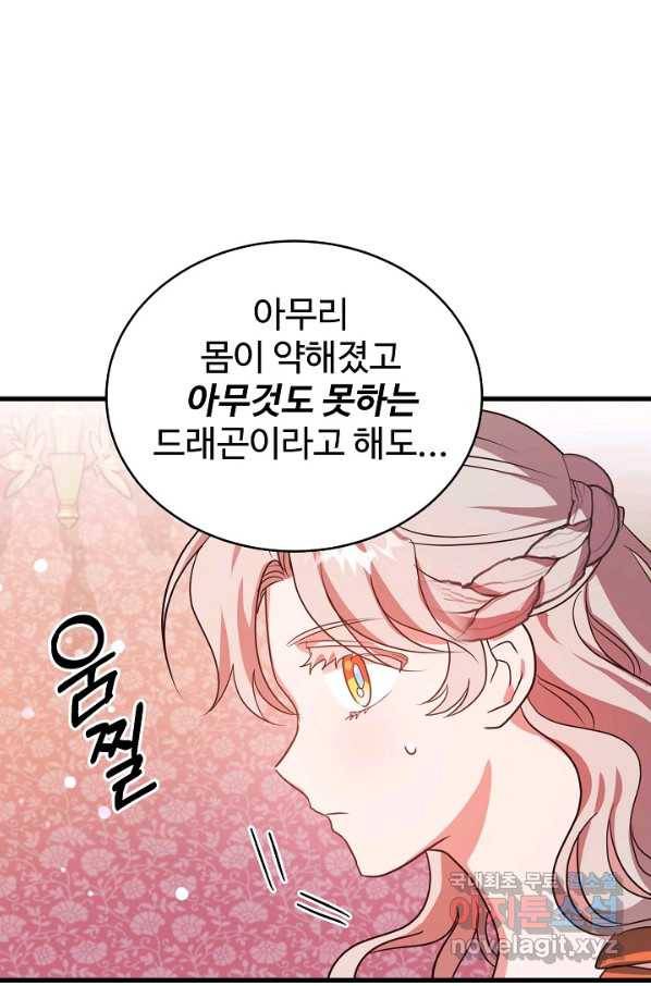 베이비 드래곤 66화 68
