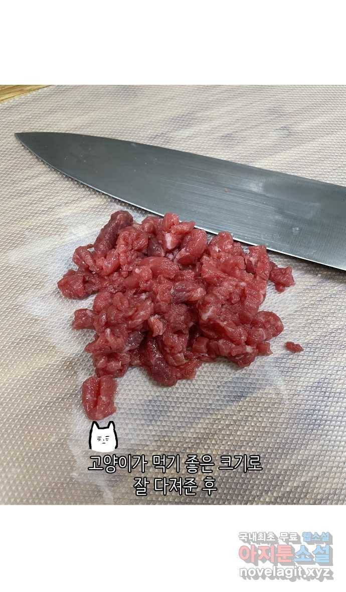 애옹식당 38화 짝사랑 육회물회 23