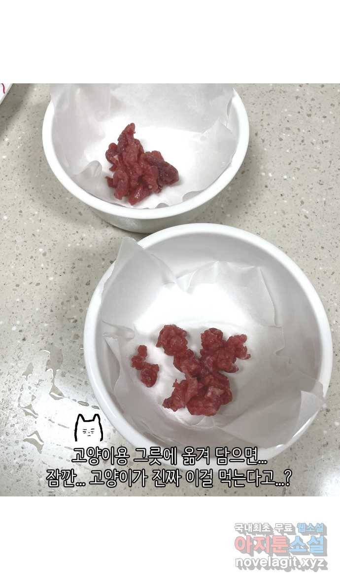 애옹식당 38화 짝사랑 육회물회 24