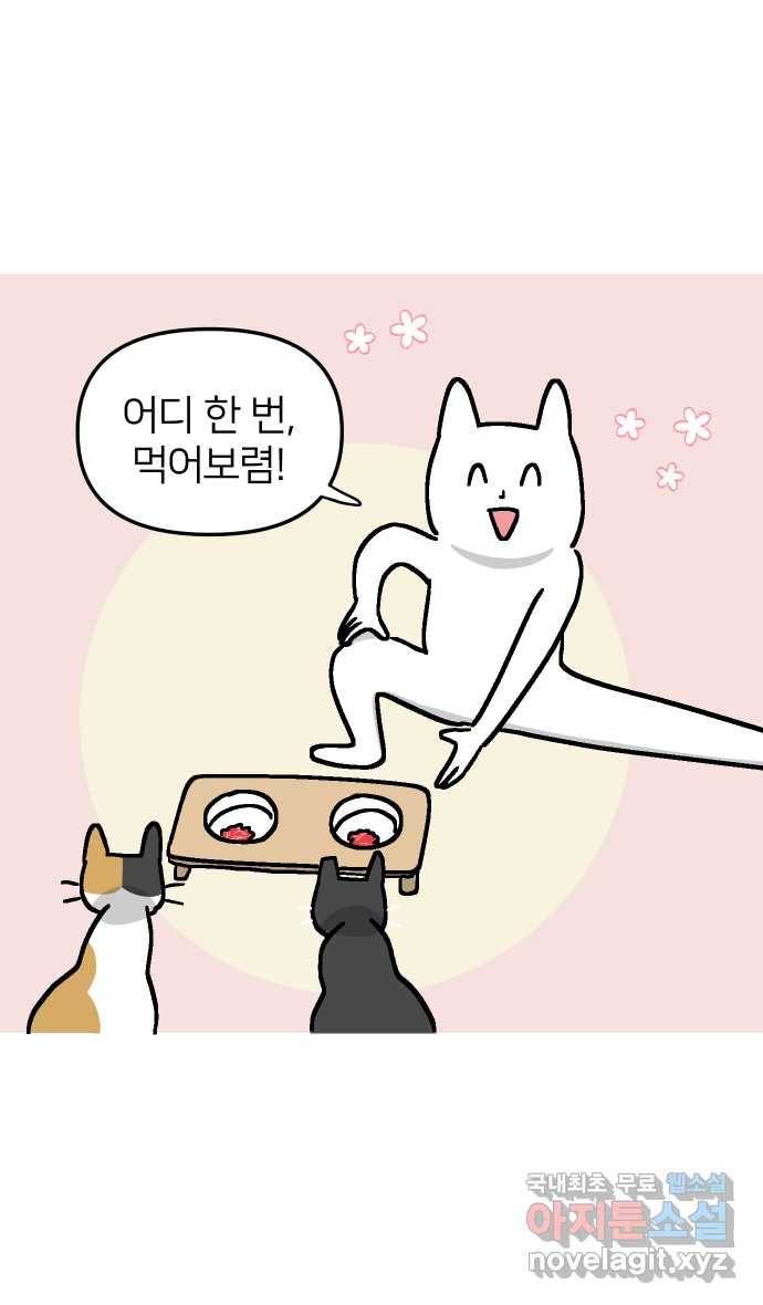 애옹식당 38화 짝사랑 육회물회 25