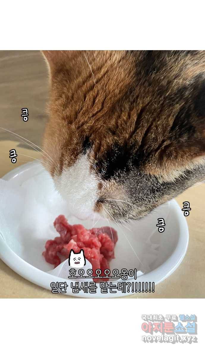 애옹식당 38화 짝사랑 육회물회 26