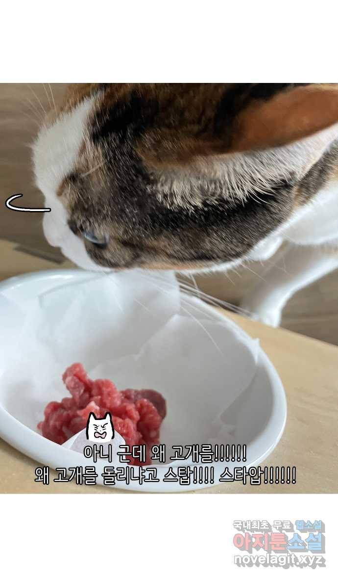 애옹식당 38화 짝사랑 육회물회 27