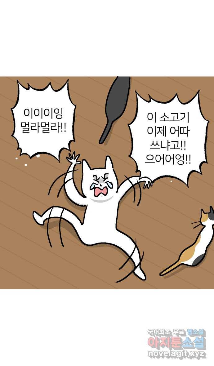 애옹식당 38화 짝사랑 육회물회 29