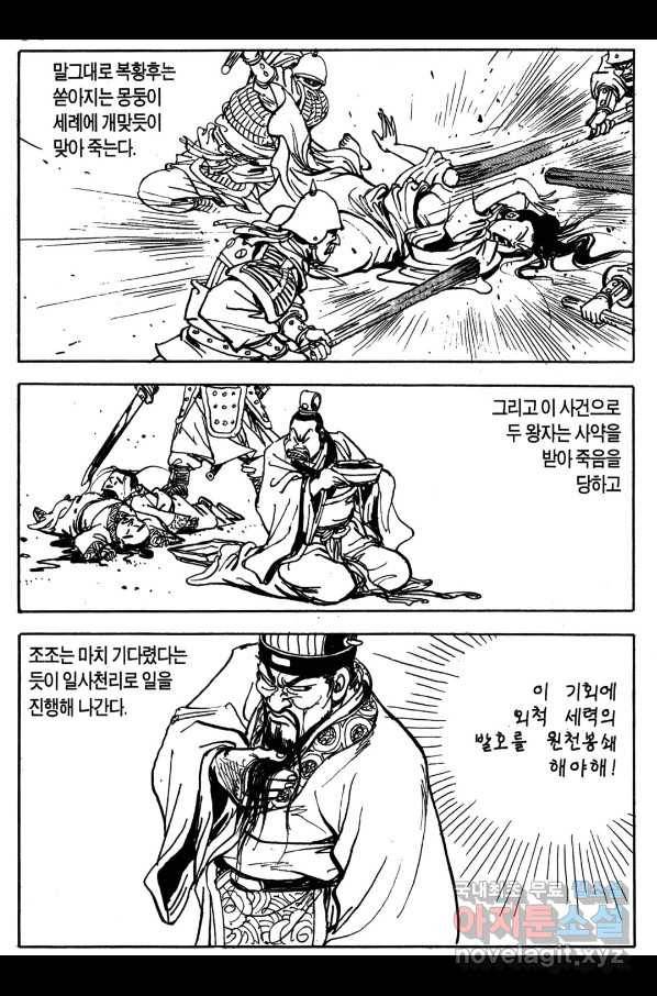 박봉성 삼국지 4부 2권 17