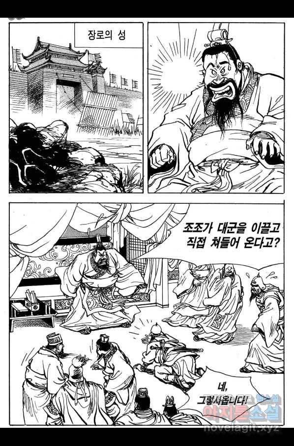 박봉성 삼국지 4부 2권 29
