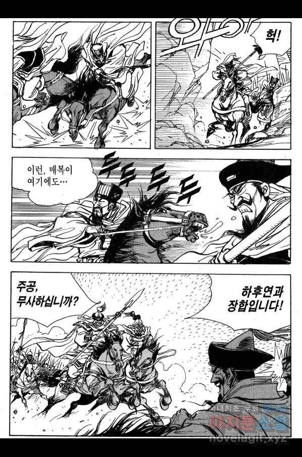 박봉성 삼국지 4부 2권 46