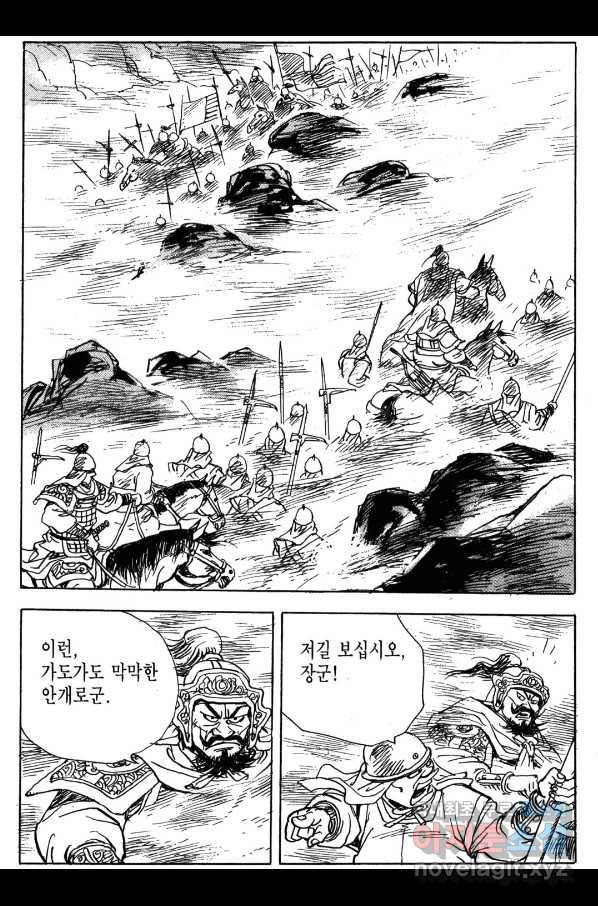 박봉성 삼국지 4부 2권 56