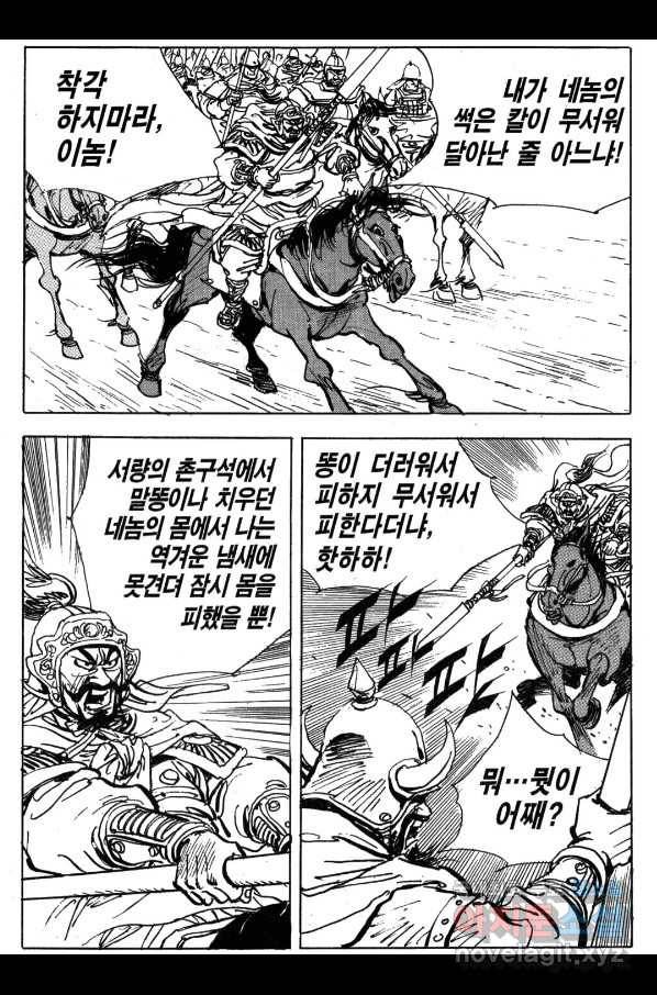 박봉성 삼국지 4부 2권 118