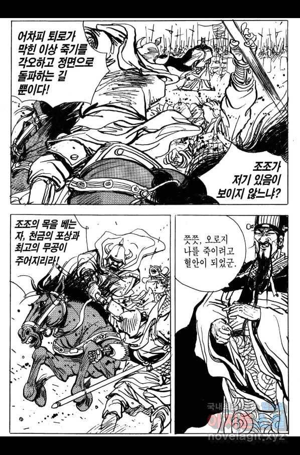 박봉성 삼국지 4부 2권 176