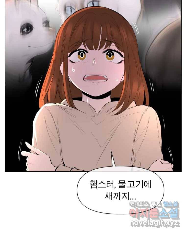 케어시트 49화 토끼당번 27