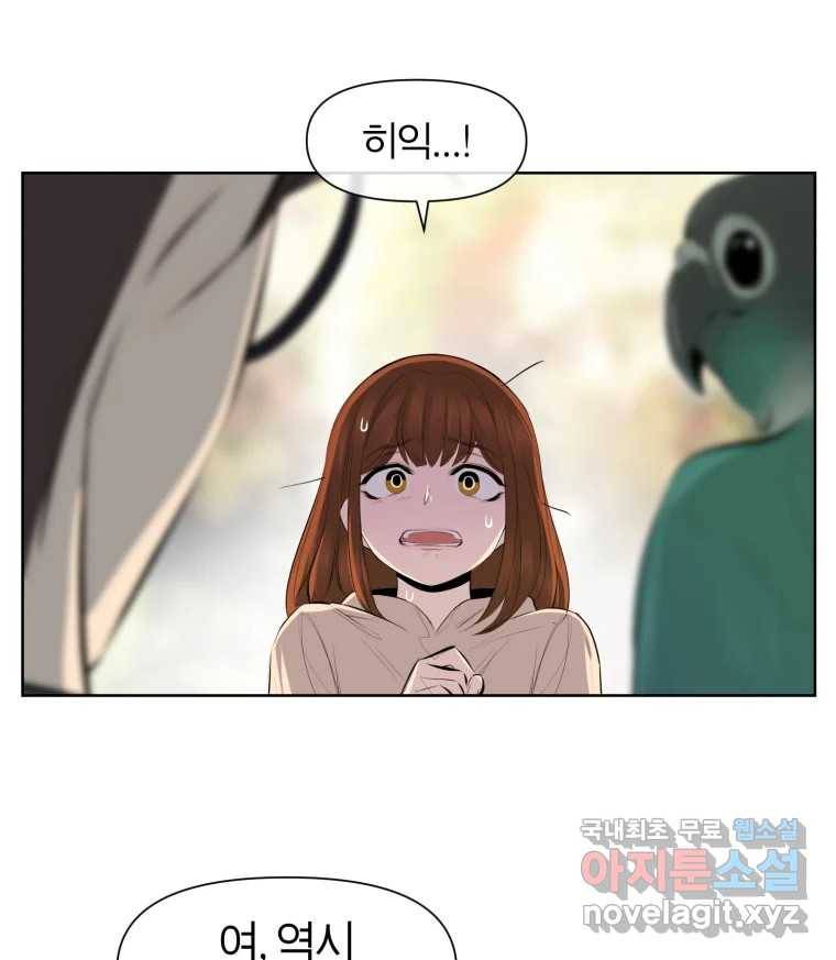 케어시트 49화 토끼당번 40