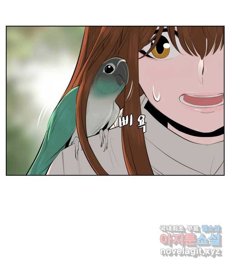 케어시트 49화 토끼당번 51