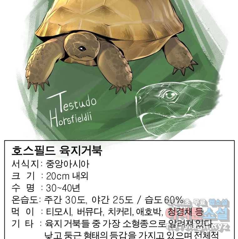 케어시트 49화 토끼당번 122
