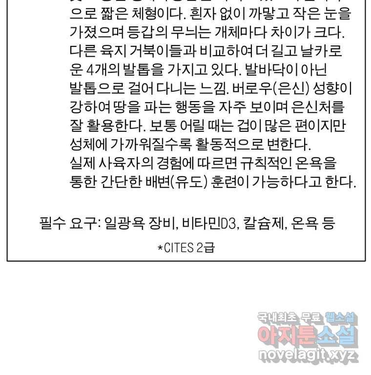 케어시트 49화 토끼당번 123