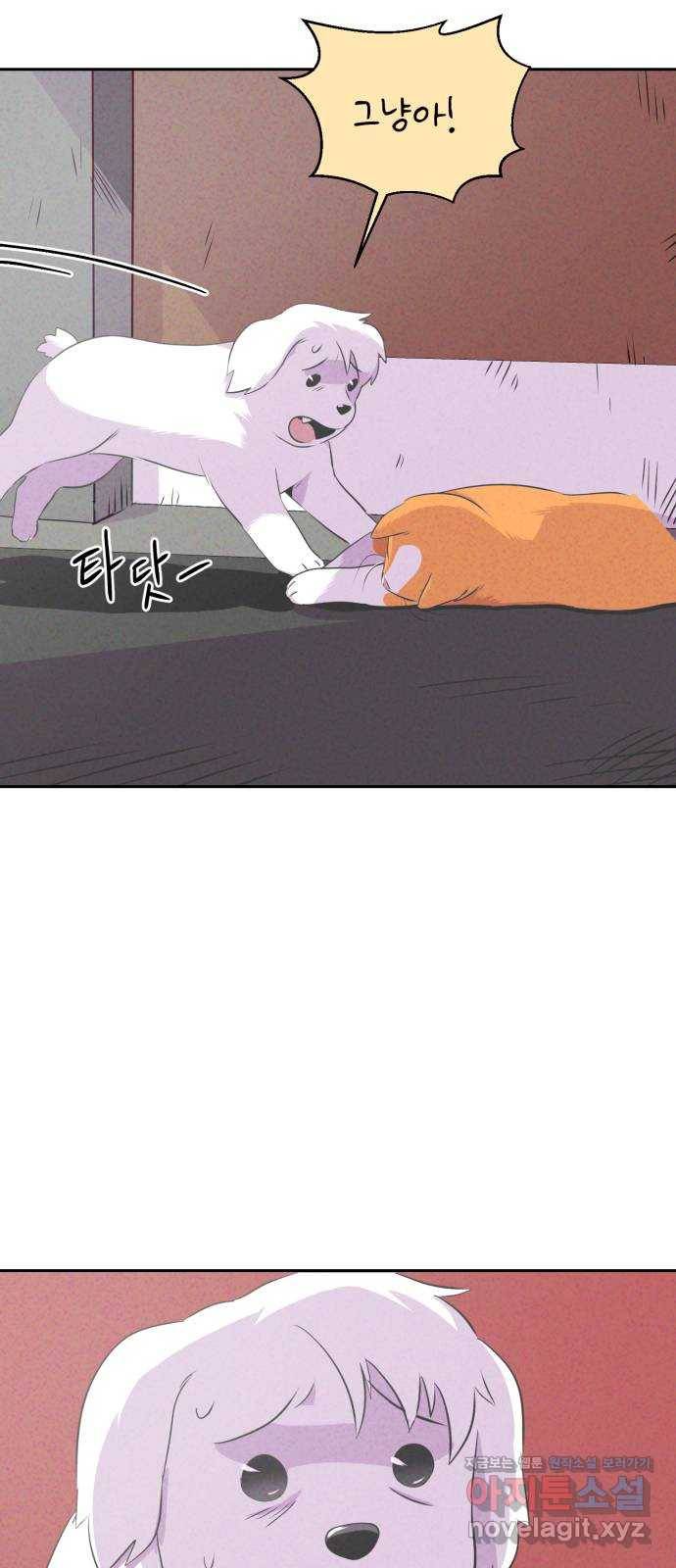 개와 사람의 시간 17화 4