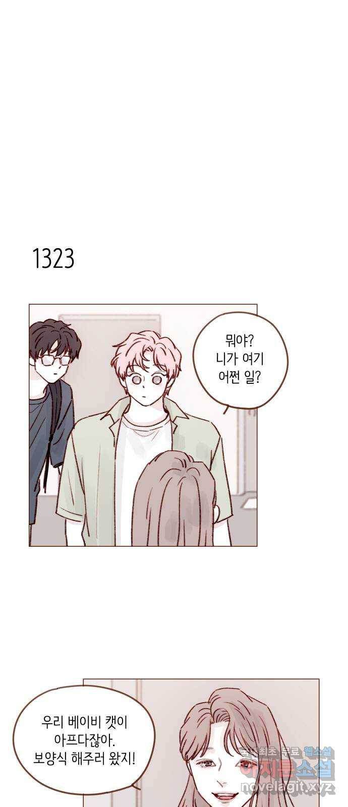 홍시는 날 좋아해! 207화 : 하여간 지 같이도 만나요 14