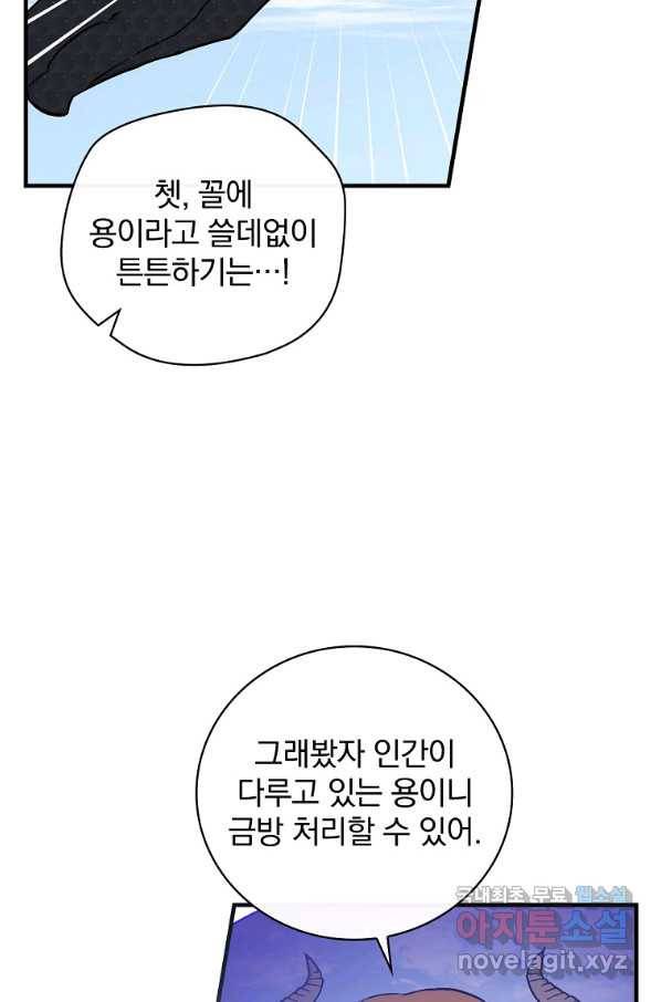 밥만 먹고 레벨업 117화 43