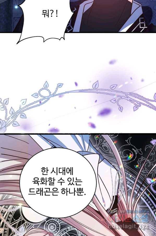 베이비 드래곤 70화 62