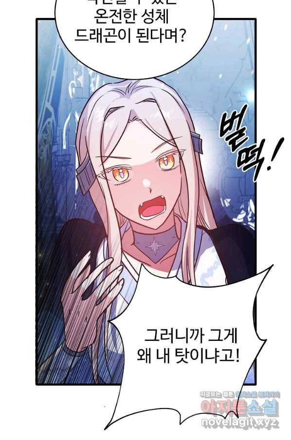 베이비 드래곤 70화 64