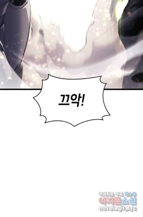 SSS급 랭커 회귀하다 27화 113