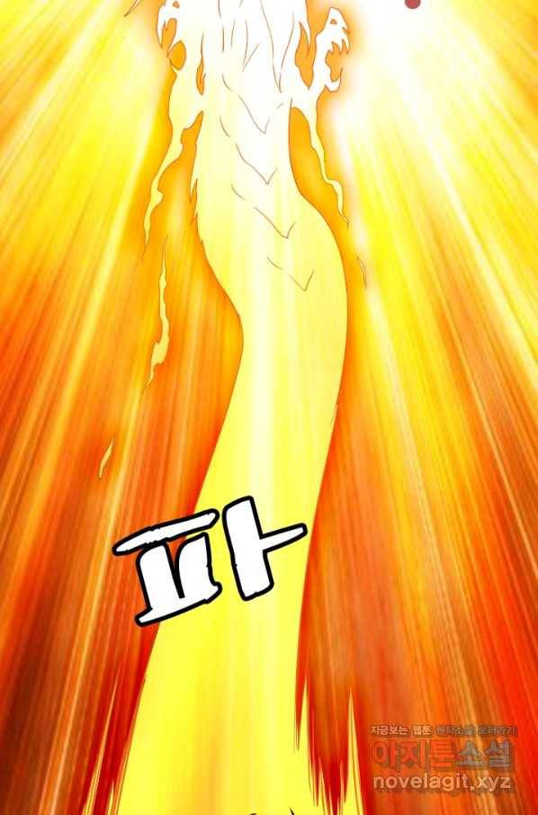 광속으로 레벨업 35화 31