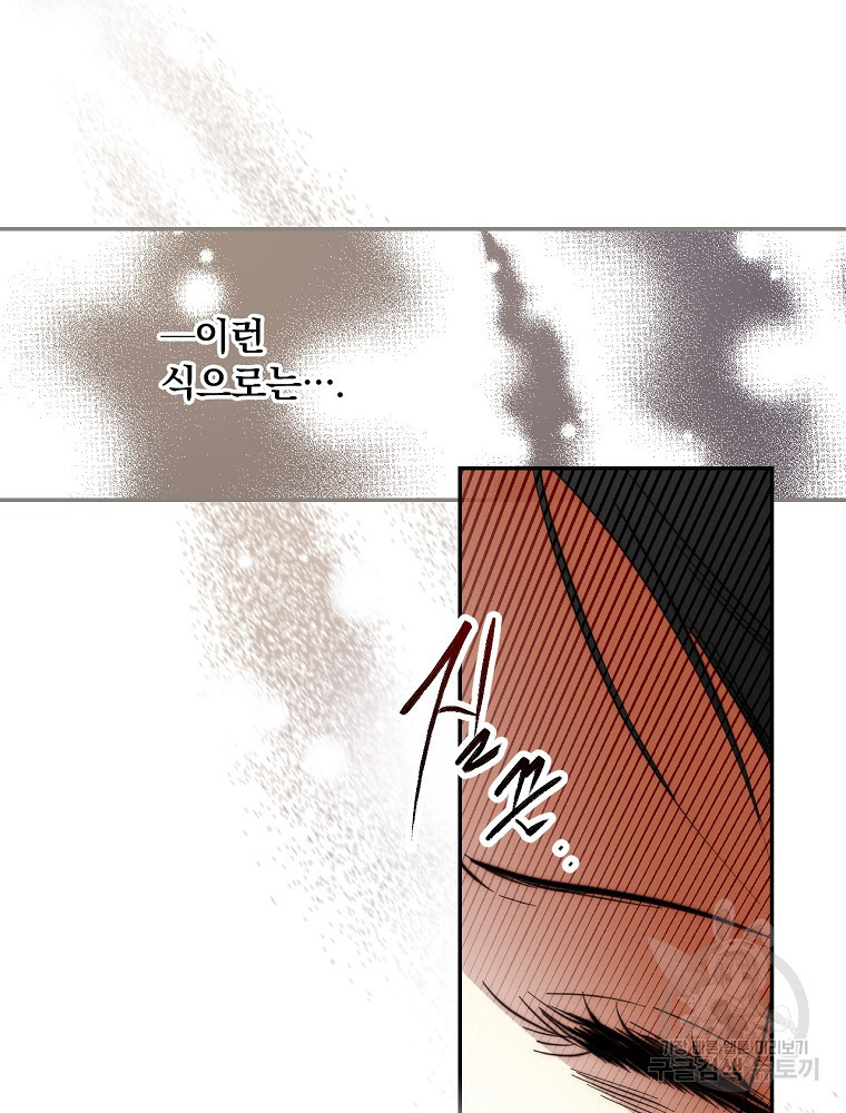 시크릿 레이디 66화 11