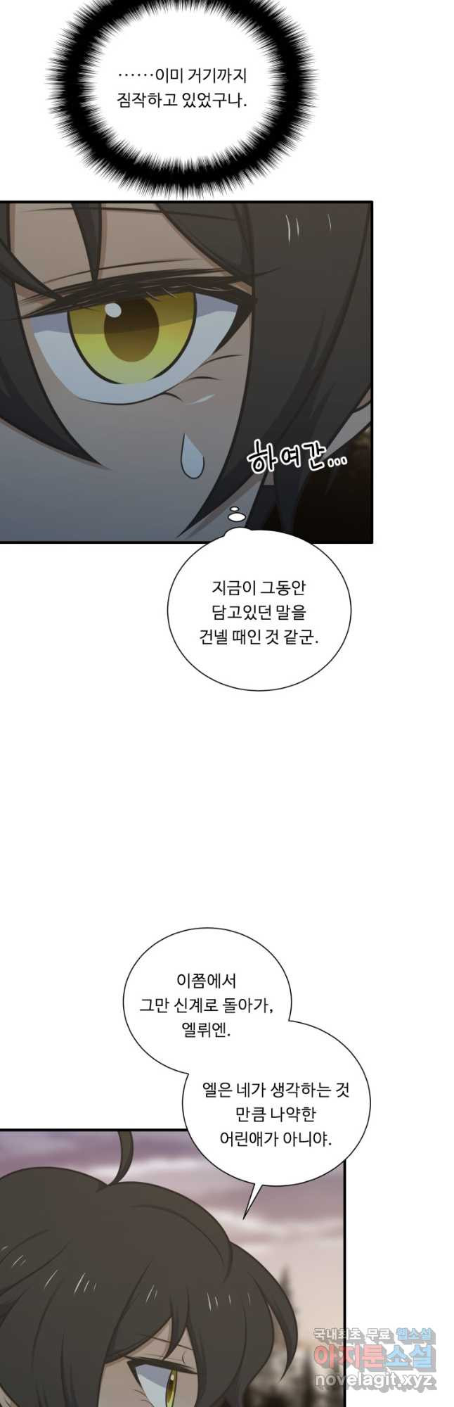 정령왕 엘퀴네스 236화 9