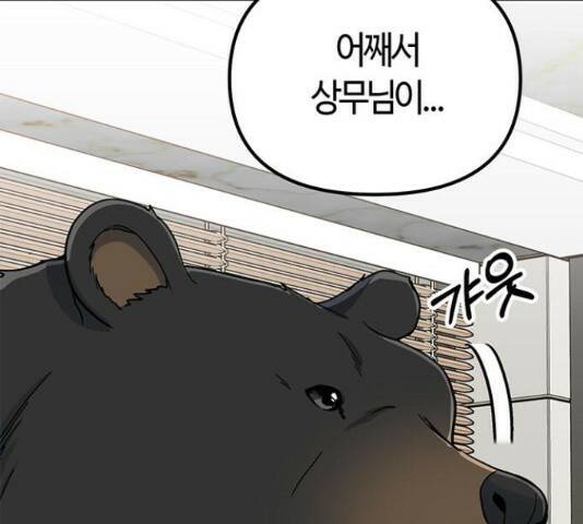 베어케어 34화 206