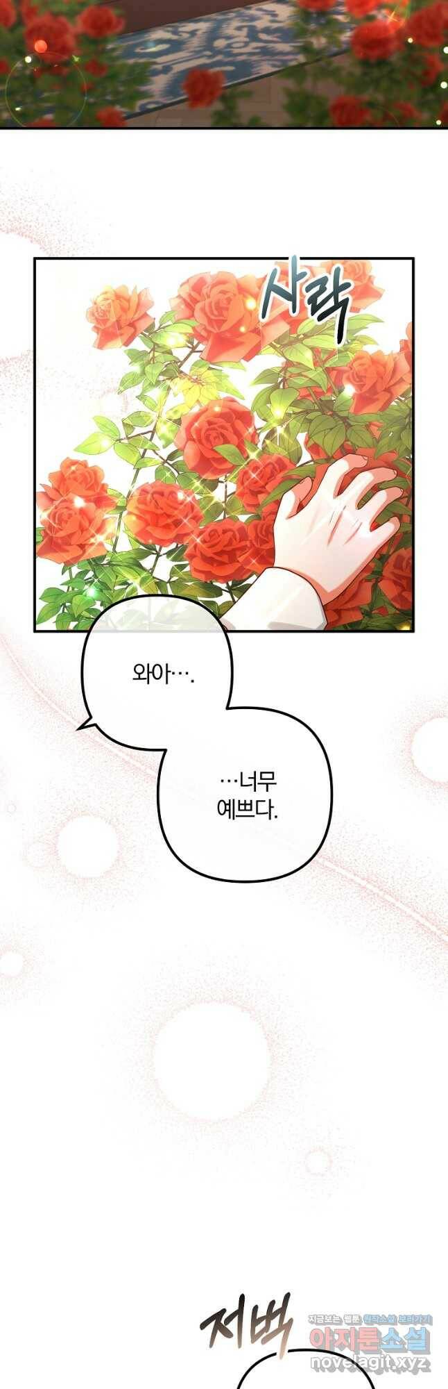 이혼해주세요, 남편님! 85화(최종화) 27