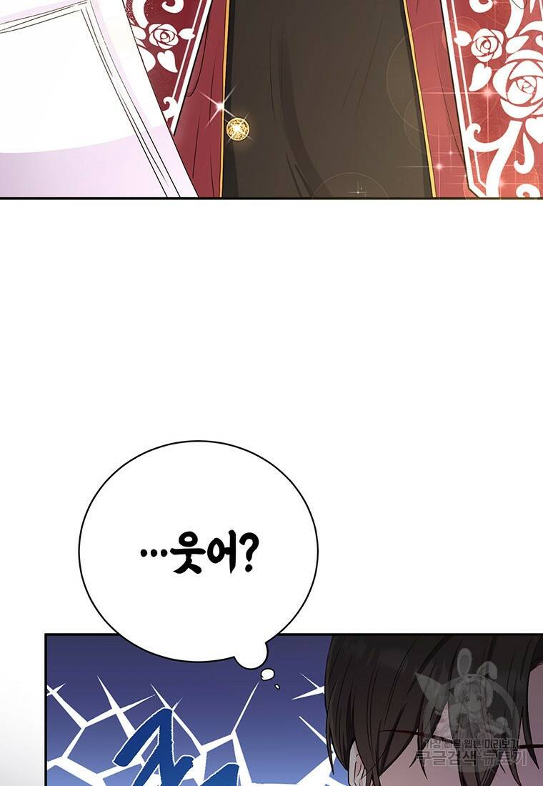그 남자는 제 친오빠인데요, 공작님 19화 17
