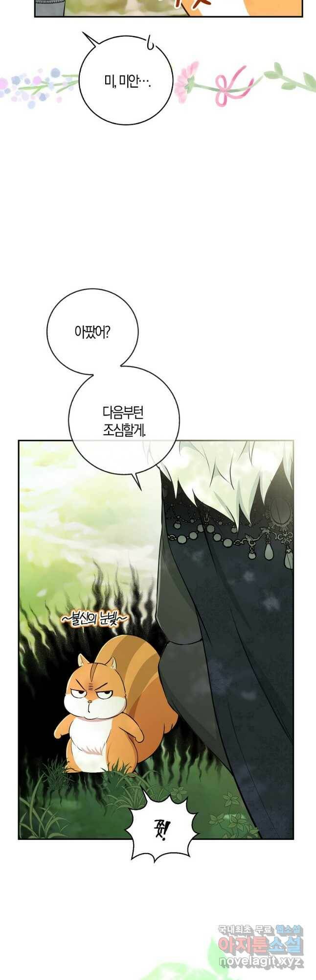 아기 다람쥐가 다 잘해요 29화 31