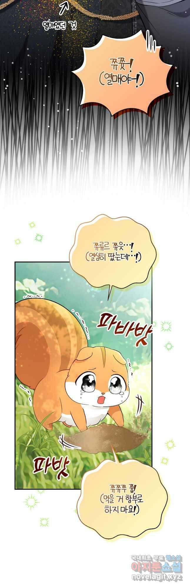 아기 다람쥐가 다 잘해요 29화 36