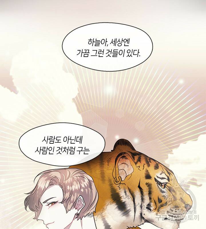 신부의 밤 14화 6