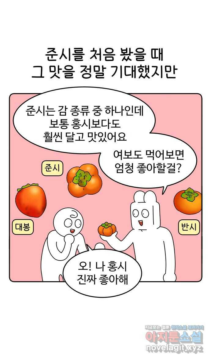 먹는 인생 96화 홍시 11