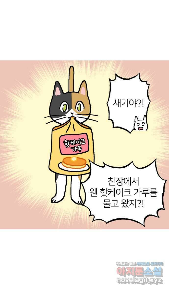 애옹식당 51화 배 속 계란빵 둥지 16