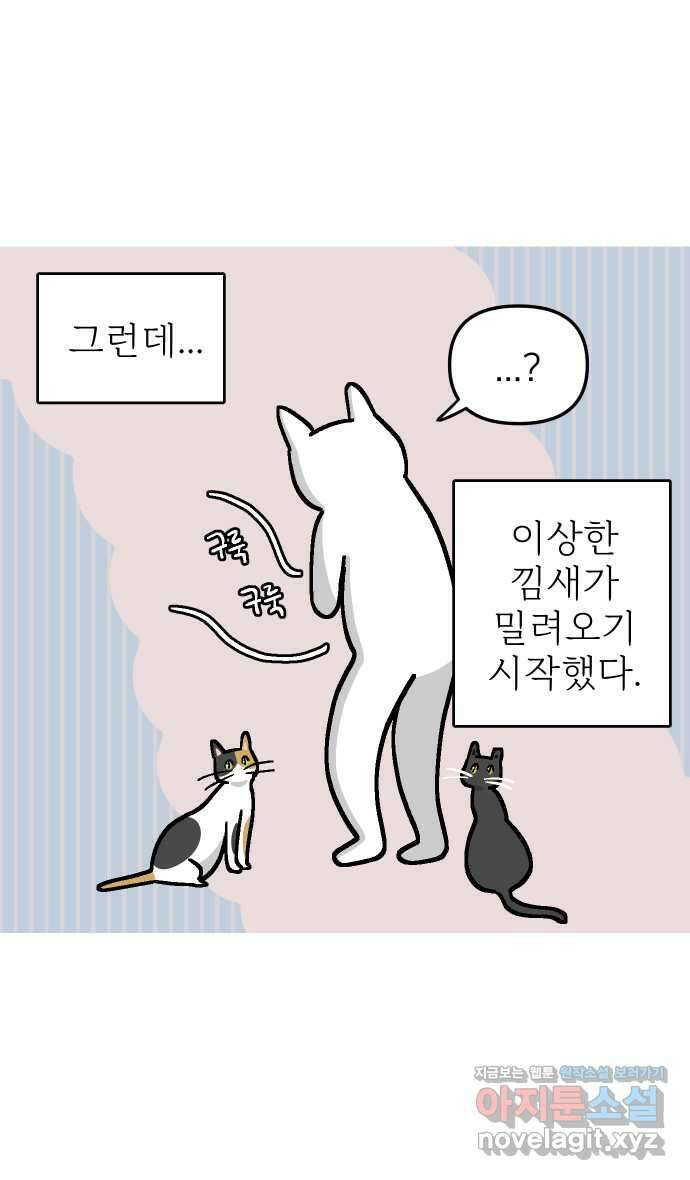 애옹식당 51화 배 속 계란빵 둥지 34