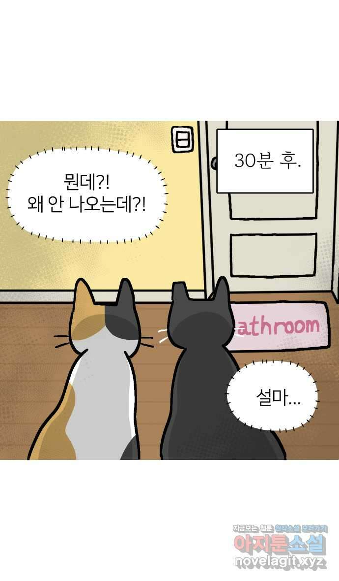 애옹식당 51화 배 속 계란빵 둥지 40