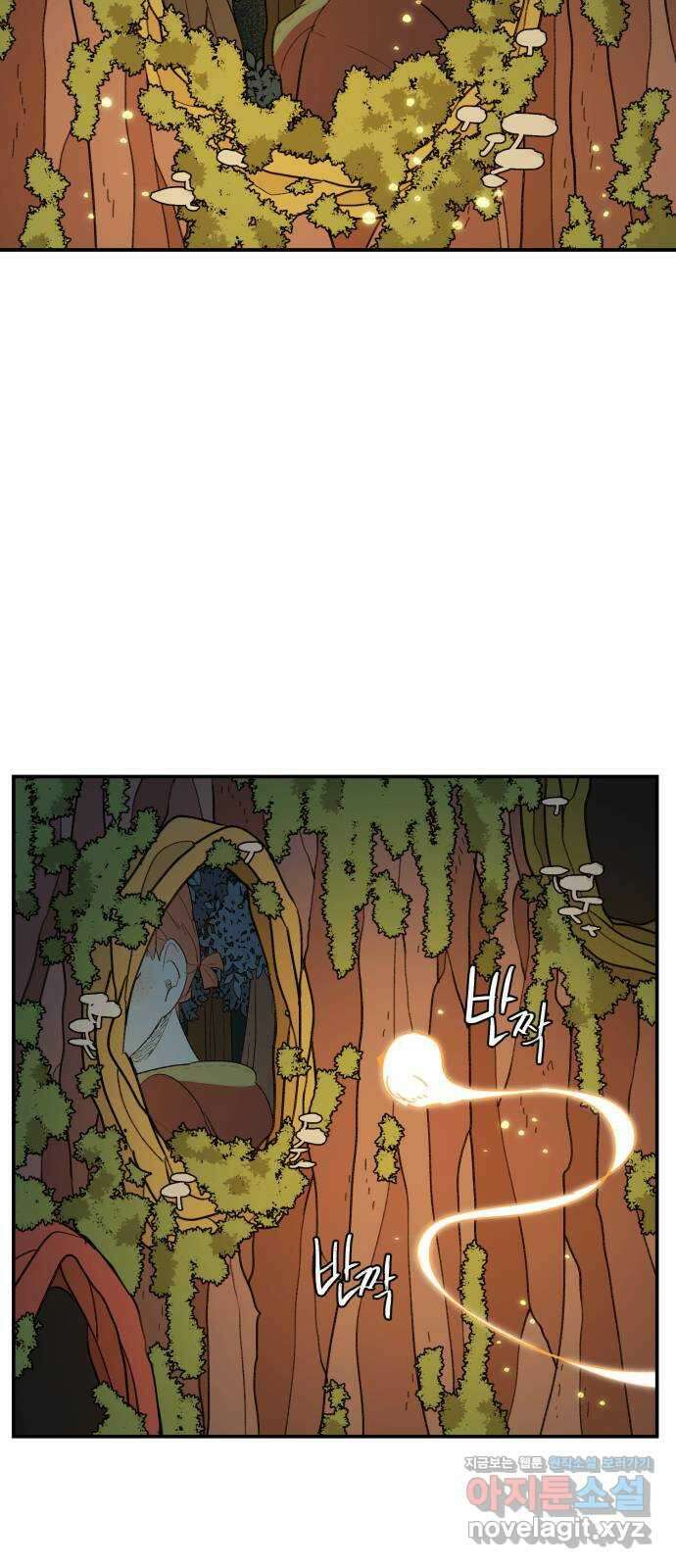 밤을 깨우는 마법 64화 한밤의 해돋이(12) 40