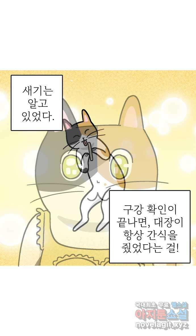 애옹식당 53화 입이 찢어지는 고통 9