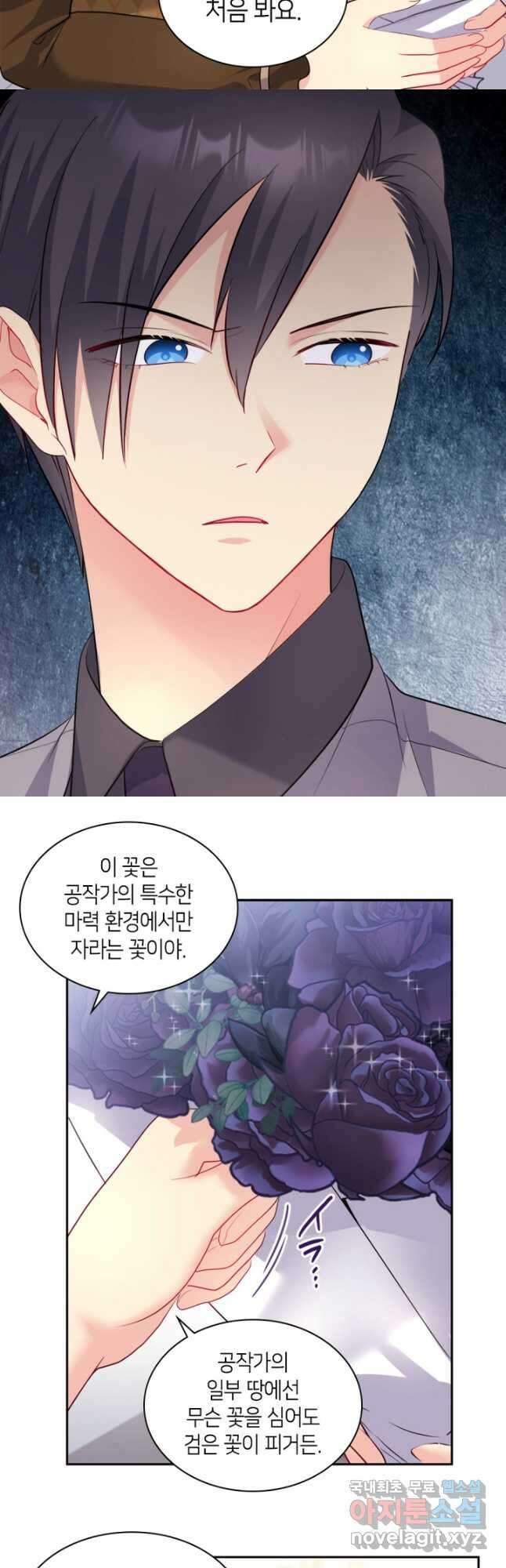 데이지-공작의 혼약자가 되는 법 126화 5