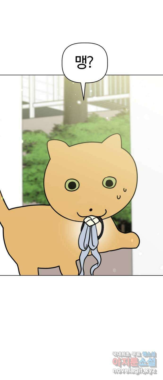 마루는강쥐 32화. 야옹야옹 고양이 모임 1