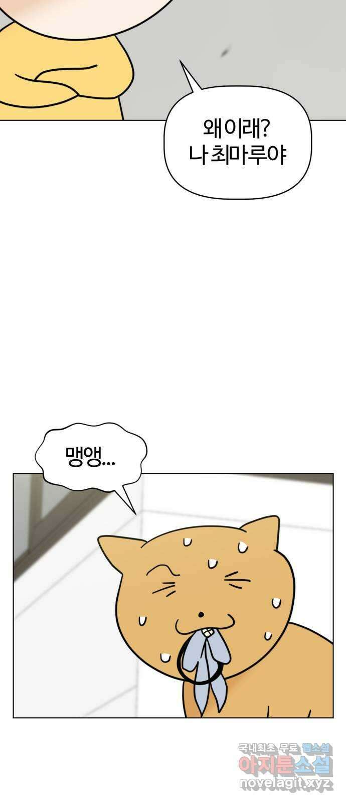 마루는강쥐 32화. 야옹야옹 고양이 모임 5