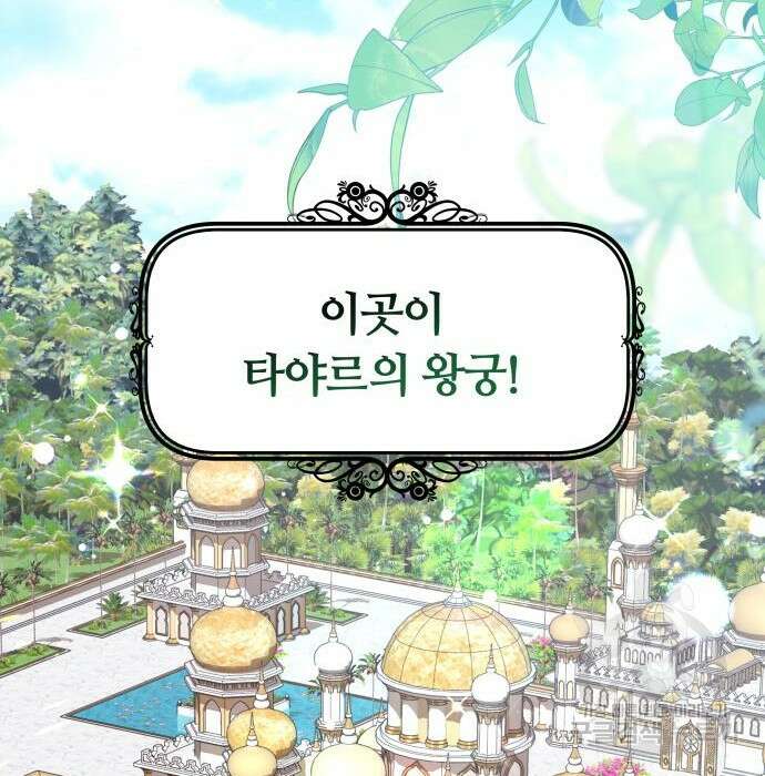 약탈 신부 8화 6