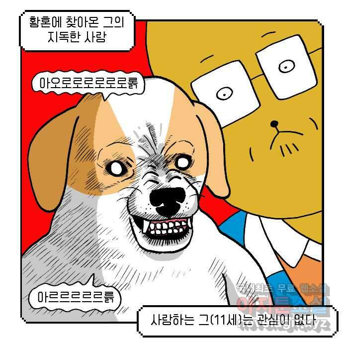 루루라라 우리네 인생 25화 쿨가이의 사랑 3